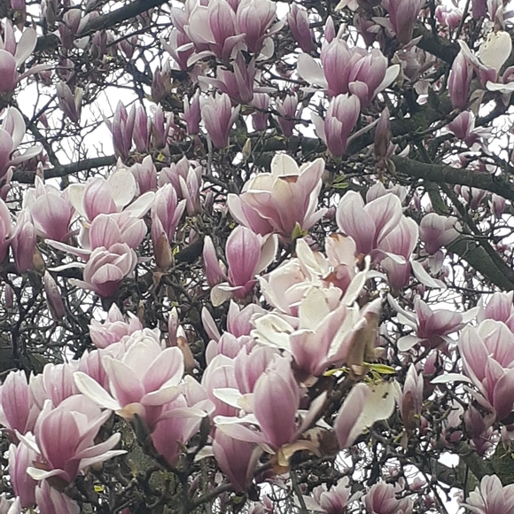 Meet your Posher - Picture 5 of 8